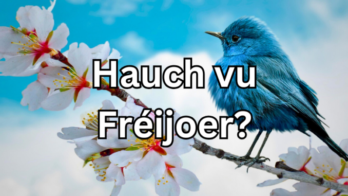 Artikel Banner (15)