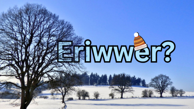 Artikel Banner (15)
