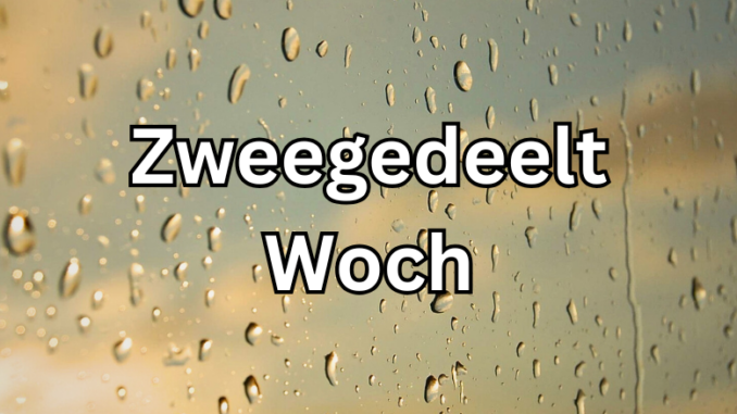 Artikel Banner (15)