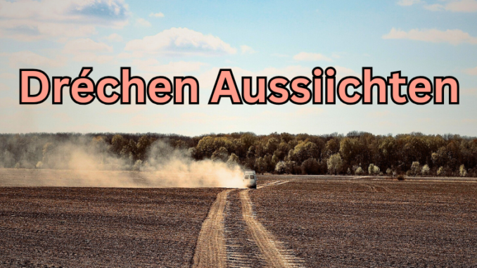Artikel Banner (15)