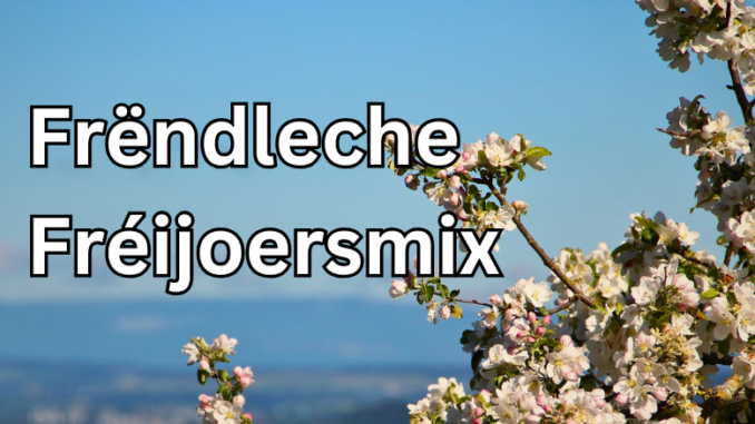Artikel Banner (15)