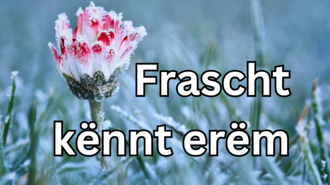 Artikel Banner (16)