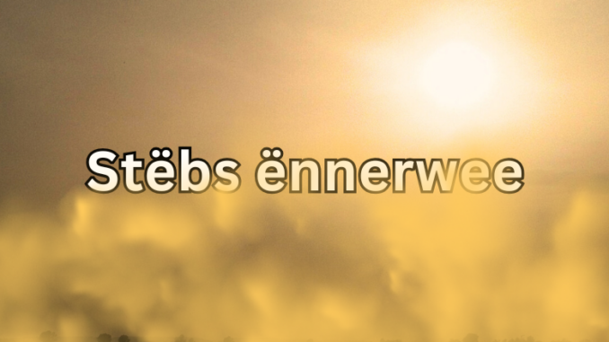 Artikel Banner (19)